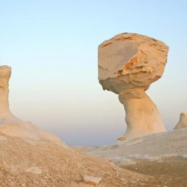 Black &amp; White Desert