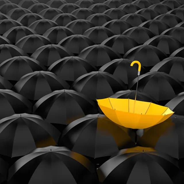 Πόσο άνετος είναι ο κομφορμισμός;