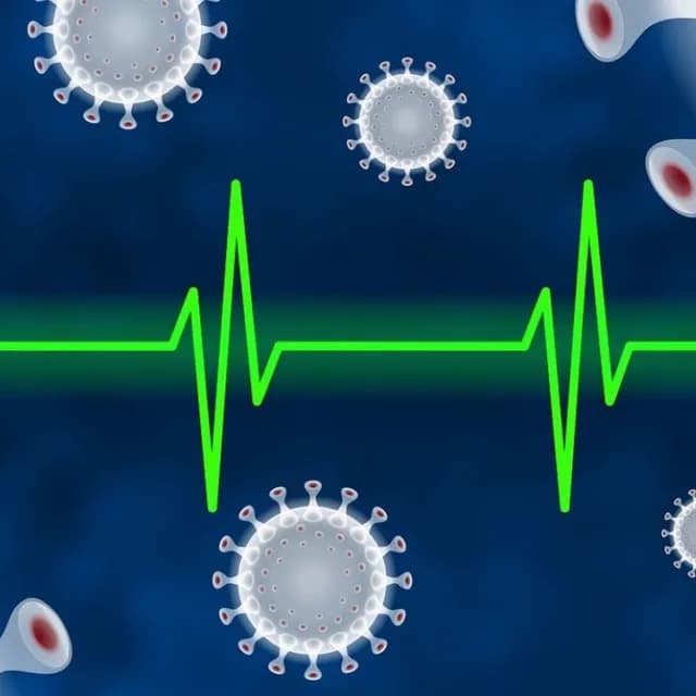 Εμβολισμός ανθρωπιάς