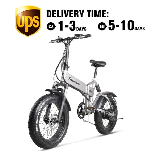 Folding Electric Bike