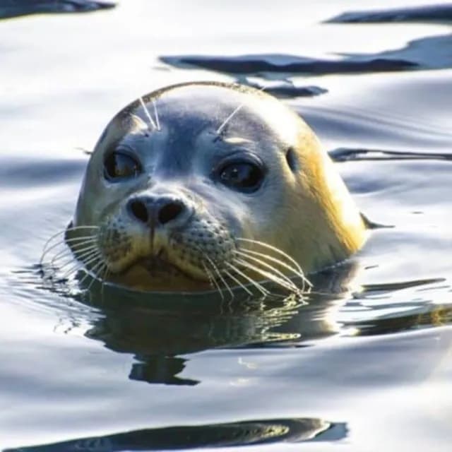 Αμοιβή €18.000 για όποιον βοηθήσει στη σύλληψη του δολοφόνου του «Κωστή»