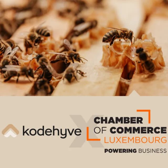 kodehyve and Chamber of Commerce Luxembourg talking entrepreneurship &amp; bees